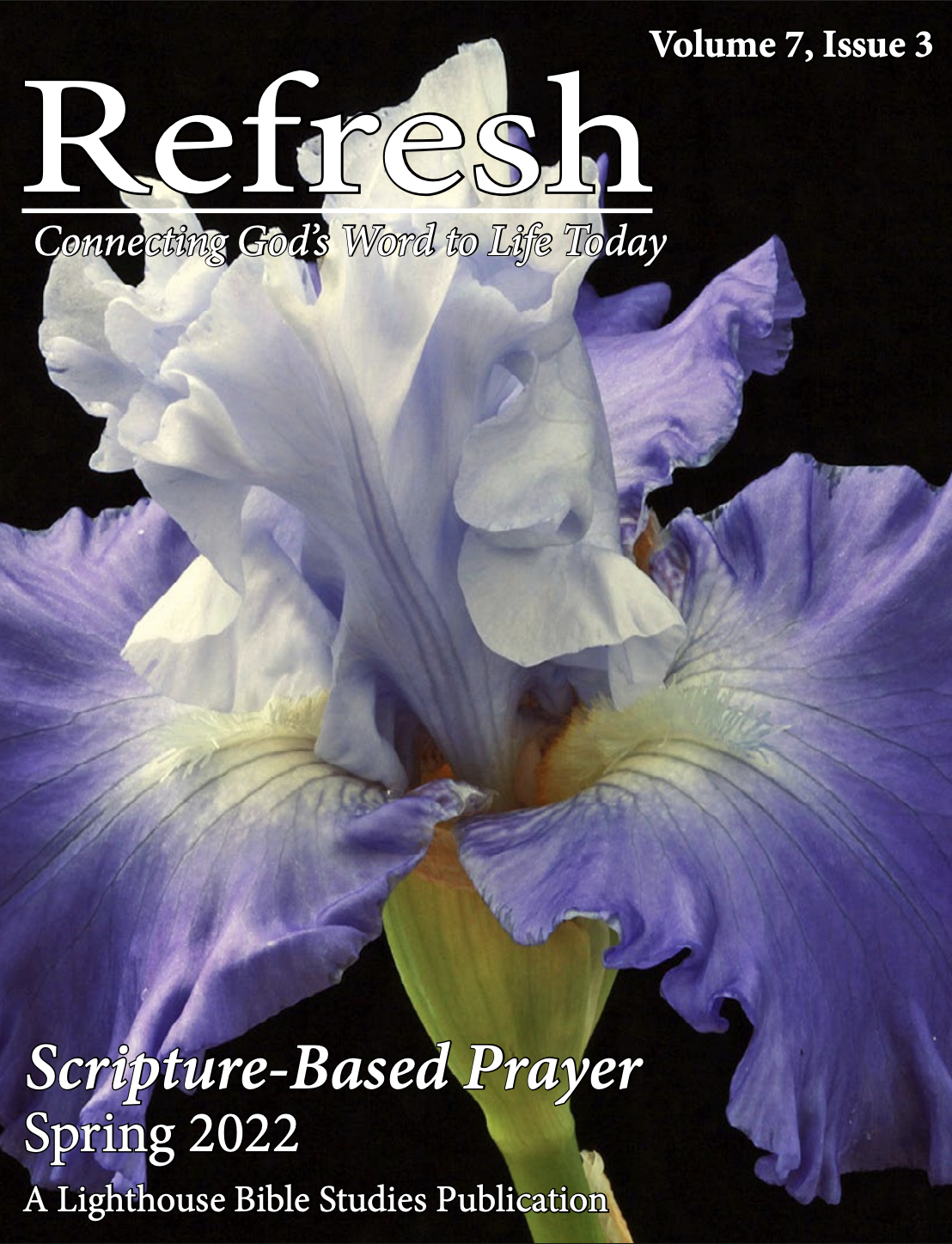 refresh 7